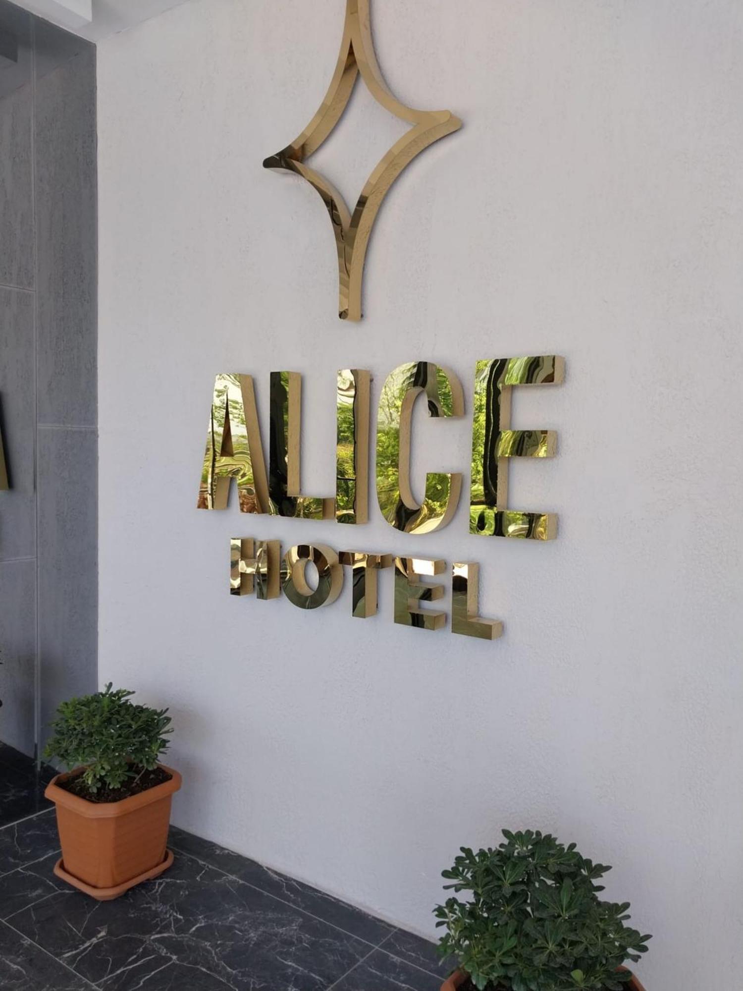 Alice Otel